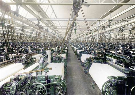  Bamboevezels: De Groene Revolutie in de Textielindustrie!