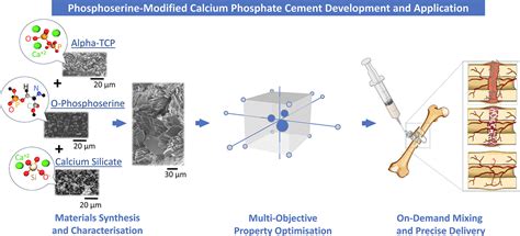 Calciumfosfaat: Een Biomateriaal Met Onverwachte Eigenschappen Voor Ortopedische Toepassingen!