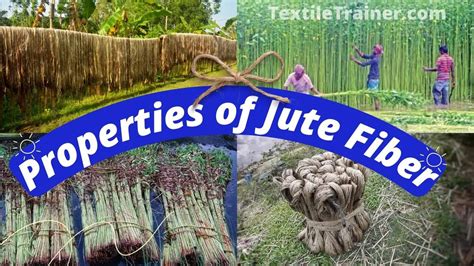 Jutevezel: Unieke Eigenschappen voor Duurzame Textiel- en Papierproductie!