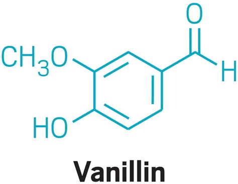 Vanilline: Essentiële Aromacomponent Voor Zoete lekkernijen en Geneesmiddelen!