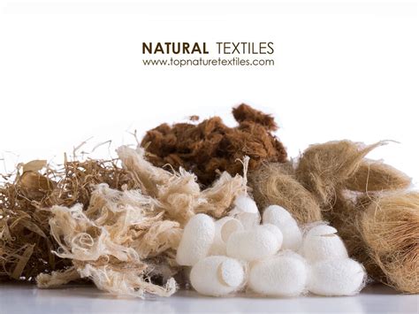 Wol: Een kijkje achter de schermen van deze natuurlijke wondervezel voor textielproductie!